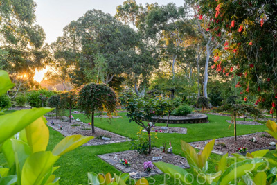 September 2023 / Peace-Court_230928_Z9C3186