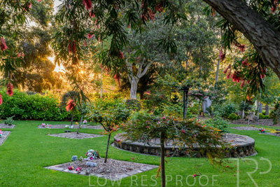 September 2023 / Peace-Court_230928_Z9C3189