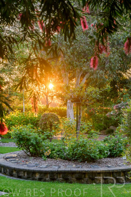 September 2023 / Peace-Court_230928_Z9C3195