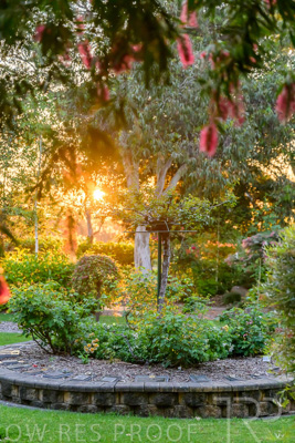 September 2023 / Peace-Court_230928_Z9C3201