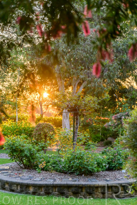 September 2023 / Peace-Court_230928_Z9C3204