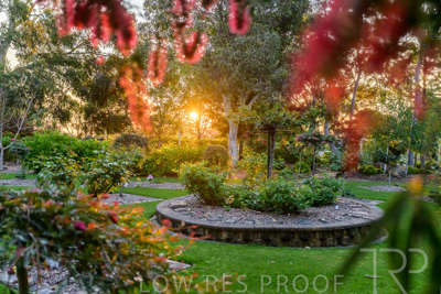 September 2023 / Peace-Court_230928_Z9C3207