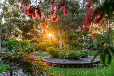 September 2023 / Peace-Court_230928_Z9C3210