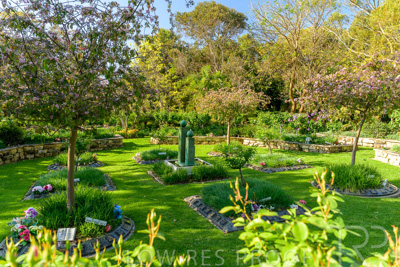 September 2023 / Peace-Court_230929_Z9C4104