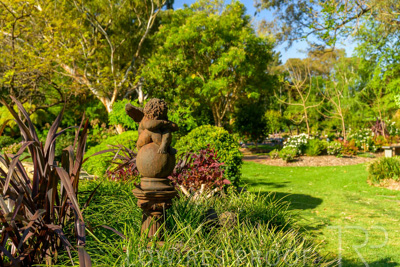 September 2023 / Peace-Court_230929_Z9C4107