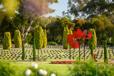 September 2023 / Poppies-Statue-Derrick-Gardens_230928_85E2084