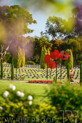 September 2023 / Poppies-Statue-Derrick-Gardens_230928_85E2090