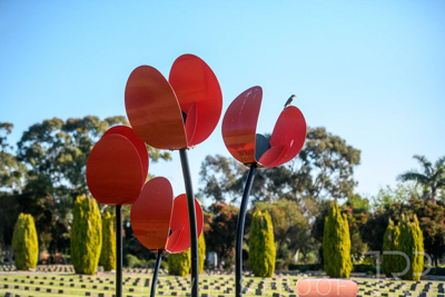 September 2023 / Poppies-Statue-Derrick-Gardens_230928_85E2098