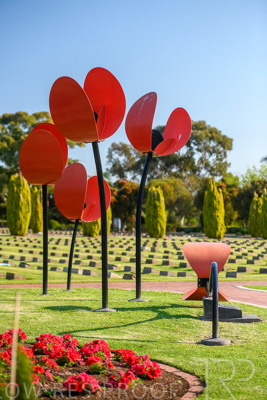 September 2023 / Poppies-Statue-Derrick-Gardens_230928_85E2104