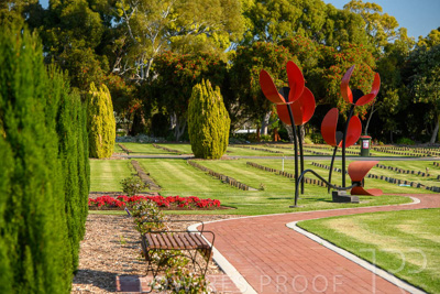 September 2023 / Poppies-Statue-Derrick-Gardens_230928_85E2120