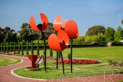 September 2023 / Poppies-Statue-Derrick-Gardens_230928_85E2132