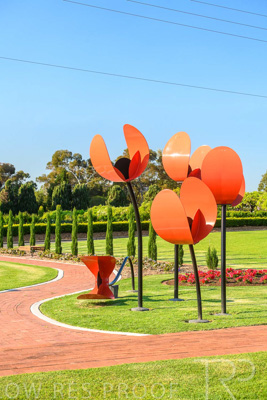 September 2023 / Poppies-Statue-Derrick-Gardens_230928_85E2141