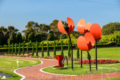 September 2023 / Poppies-Statue-Derrick-Gardens_230928_85E2147