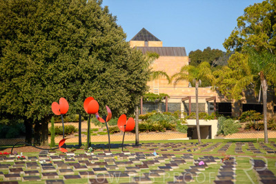 September 2023 / Poppies-Statue-Derrick-Gardens_230928_85E2150