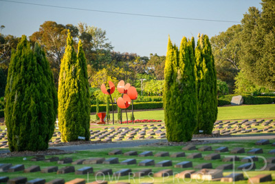 September 2023 / Poppies-Statue-Derrick-Gardens_230928_85E2351