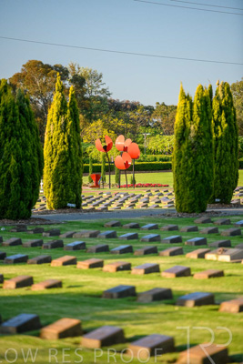 September 2023 / Poppies-Statue-Derrick-Gardens_230928_85E2354