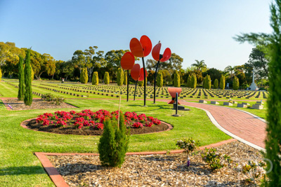 September 2023 / Poppies-Statue-Derrick-Gardens_230928_Z9C2508