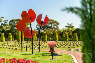 September 2023 / Poppies-Statue-Derrick-Gardens_230928_Z9C2514