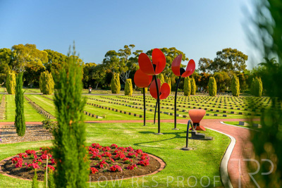 September 2023 / Poppies-Statue-Derrick-Gardens_230928_Z9C2517