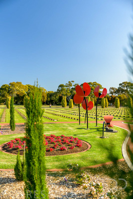September 2023 / Poppies-Statue-Derrick-Gardens_230928_Z9C2520