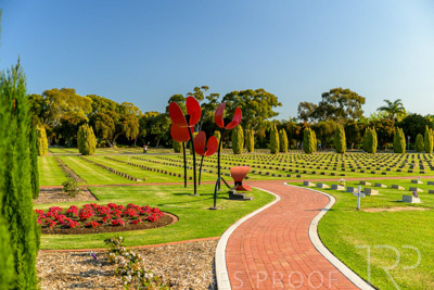 September 2023 / Poppies-Statue-Derrick-Gardens_230928_Z9C2523