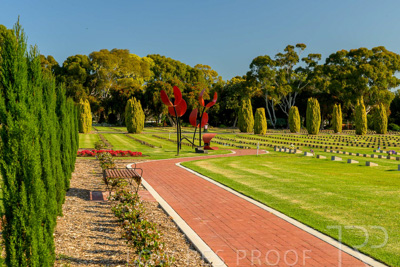 September 2023 / Poppies-Statue-Derrick-Gardens_230928_Z9C2529