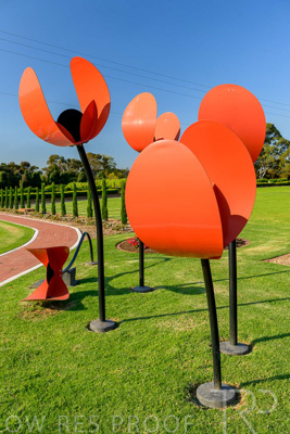 September 2023 / Poppies-Statue-Derrick-Gardens_230928_Z9C2577