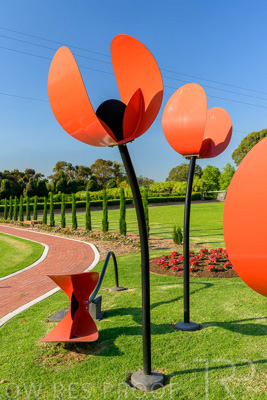 September 2023 / Poppies-Statue-Derrick-Gardens_230928_Z9C2586