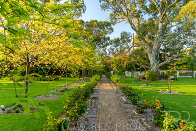 September 2023 / Queen-Adelaide-Walk_230928_Z9C2991