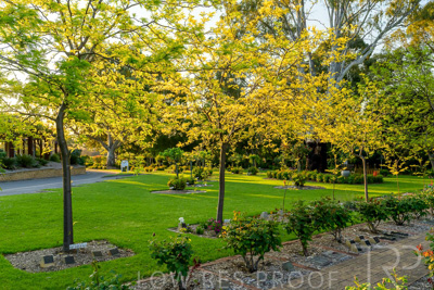 September 2023 / Queen-Adelaide-Walk_230928_Z9C2997