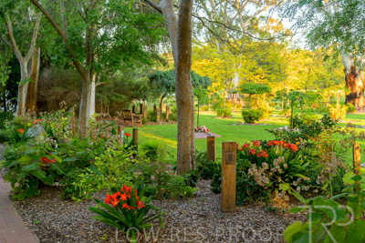 September 2023 / Queen-Adelaide-Walk_230928_Z9C3114