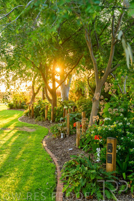 September 2023 / Queen-Adelaide-Walk_230928_Z9C3120