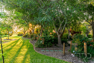 September 2023 / Queen-Adelaide-Walk_230928_Z9C3123