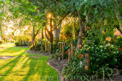 September 2023 / Queen-Adelaide-Walk_230928_Z9C3126