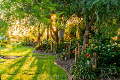 September 2023 / Queen-Adelaide-Walk_230928_Z9C3129