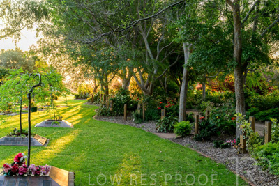 September 2023 / Queen-Adelaide-Walk_230928_Z9C3135