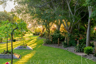 September 2023 / Queen-Adelaide-Walk_230928_Z9C3138