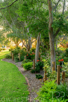 September 2023 / Queen-Adelaide-Walk_230928_Z9C3141