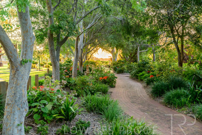 September 2023 / Queen-Adelaide-Walk_230928_Z9C3153