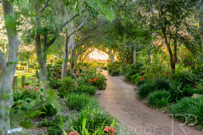 September 2023 / Queen-Adelaide-Walk_230928_Z9C3156