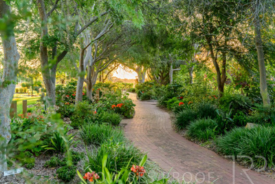 September 2023 / Queen-Adelaide-Walk_230928_Z9C3159