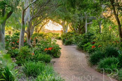 September 2023 / Queen-Adelaide-Walk_230928_Z9C3162