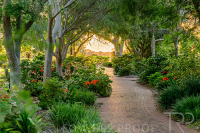 September 2023 / Queen-Adelaide-Walk_230928_Z9C3165