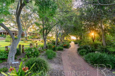 September 2023 / Queen-Adelaide-Walk_230928_Z9C3168