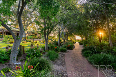 September 2023 / Queen-Adelaide-Walk_230928_Z9C3171