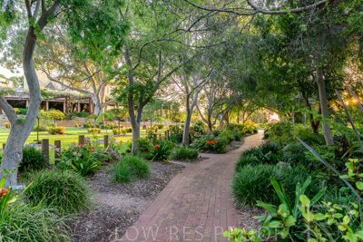 September 2023 / Queen-Adelaide-Walk_230928_Z9C3174