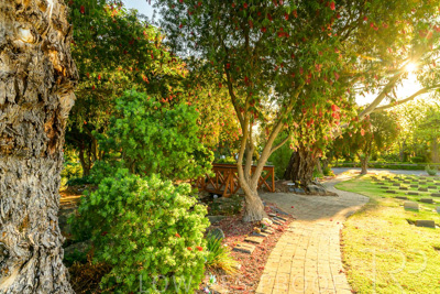 September 2023 / Springbank-Creek_230928_Z9C2841