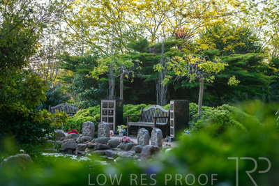 September 2023 / Springbank-Island_230928_85E2339