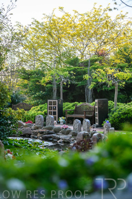 September 2023 / Springbank-Island_230928_85E2342