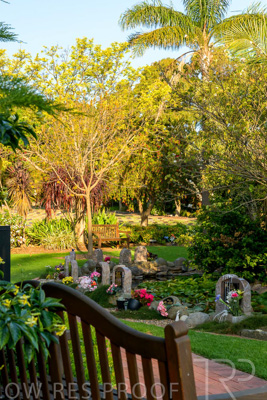 September 2023 / Springbank-Island_230928_Z9C2715